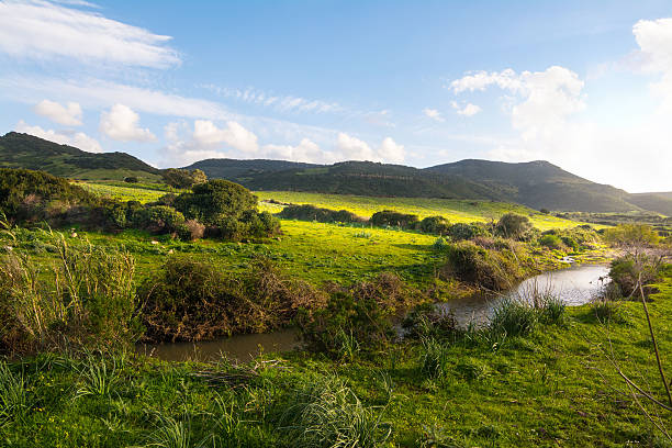 istock small creek in a green filed in Sardinia 598057894