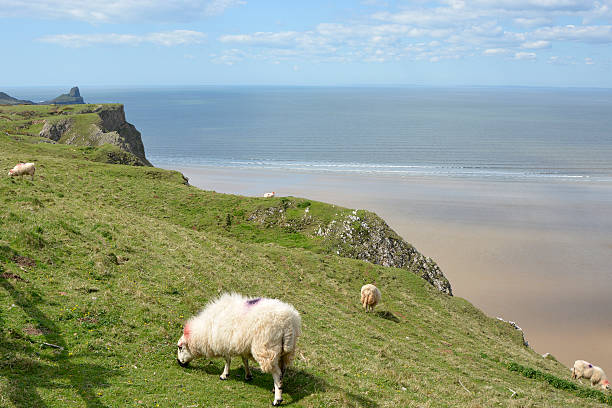 istock Rhossili Bay on the Gower Peninsular, Wales, UK 598058120