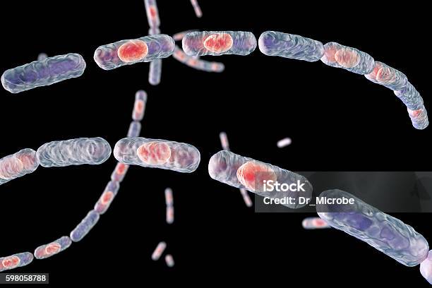 Bacteria Bacillus Anthracis Stock Photo - Download Image Now - Anthrax - Disease, Bacterium, Aggression