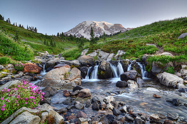 Mount Rainier Summer Pacific Northwest cascade range photos stock pictures, royalty-free photos & images