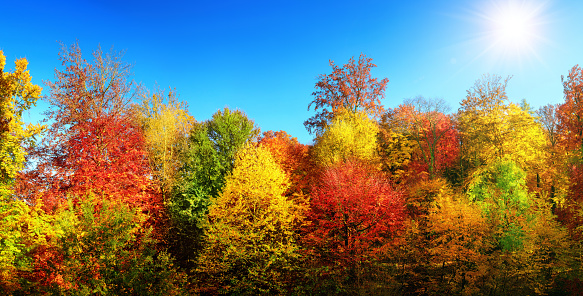 Aerial shot of forested mountains near Frametown, a small town in Braxton County, West Virginia, on a sunny day in Fall.