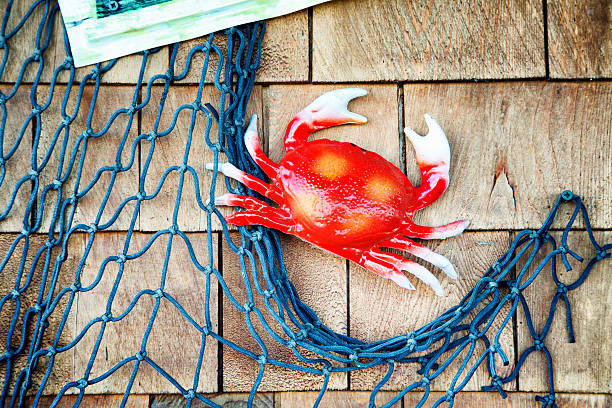 Crab and net decoration on wooden wall