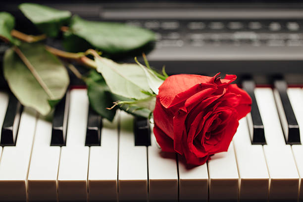 istock piano keys and red rose 598061112