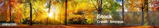 Wunderschönes Waldpanorama Im Herbst Stockfoto und mehr Bilder von Herbst - Herbst, Landschaft, Panorama