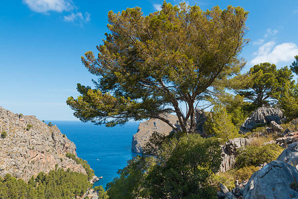 istock Sa Calobra on Mallorca Island, Spain 598062582
