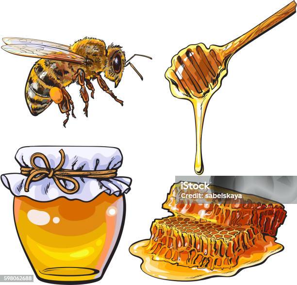 Jar Of Honey Bee Dipper And Honeycomb On White Background Stock Illustration - Download Image Now