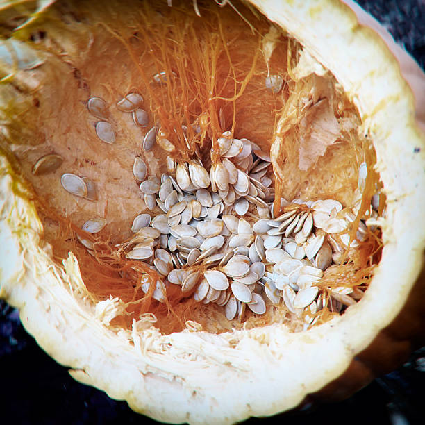 istock Interior view of a smashed pumpkin showing seeds and pulp 598063156