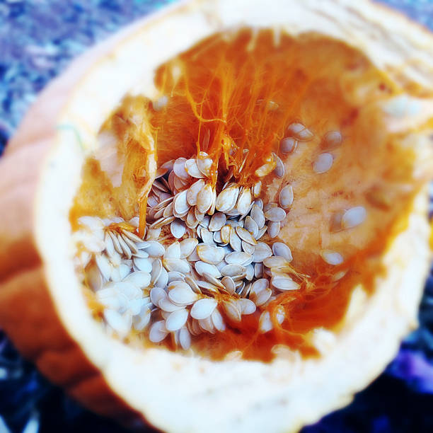 istock Interior view of a smashed pumpkin showing seeds and pulp 598063288