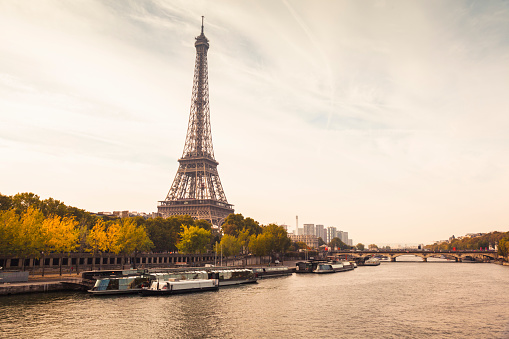 Autumnal Paris with Eiffel Tower and Seine River (Paris, France)