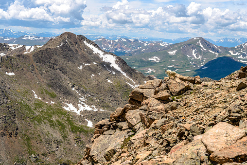 A spring view of Mount Bierstadt, with a mountain goat standing on a steep rocky cliff at front, seen from a ridge of Mount Evans. Front range of Rocky Mountains, Colorado, USA.