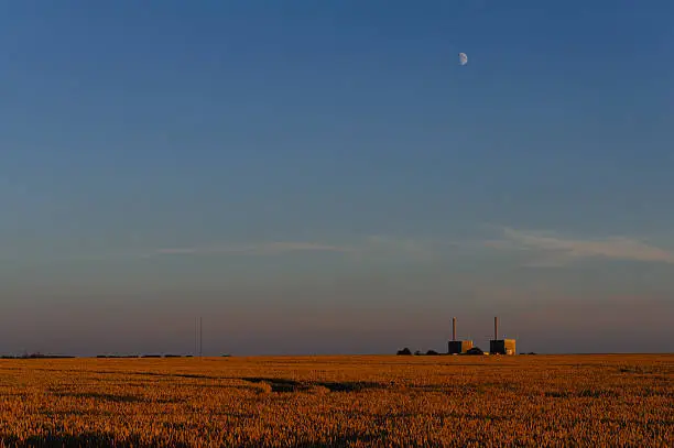 Wheat fields in South Sweden are lit by the setting sun. The moon is in it's first quarter.