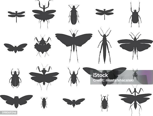 Insect Silhouettes Set Stock Illustration - Download Image Now - Insect, In Silhouette, Vector