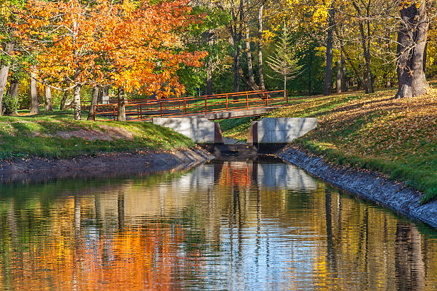 istock Reflection of Autumn Trees in Water 598069770