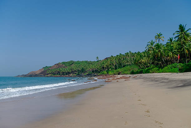 istock Sea view from hidden beach with palms near Agonda beach 598073046