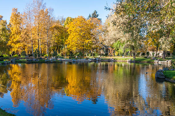 istock Reflection Of Autumn Trees In A Pond 598073924