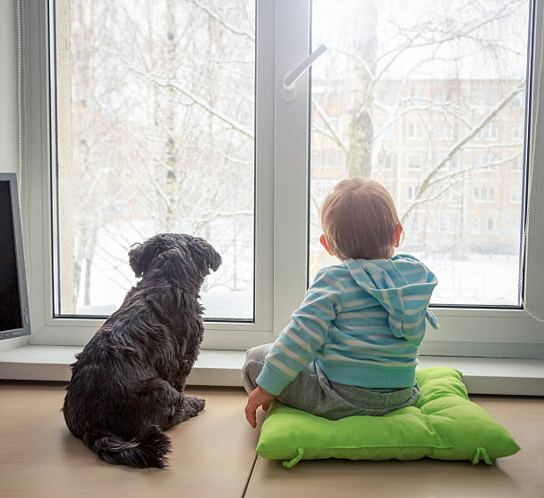 Baby with Dog Looking through a Window in Winter stock photo