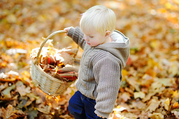 istock Little boy playing with autumn leaves 598077886