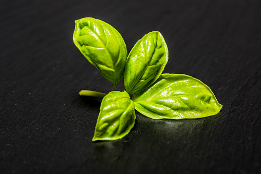 Basil leaves on black slate