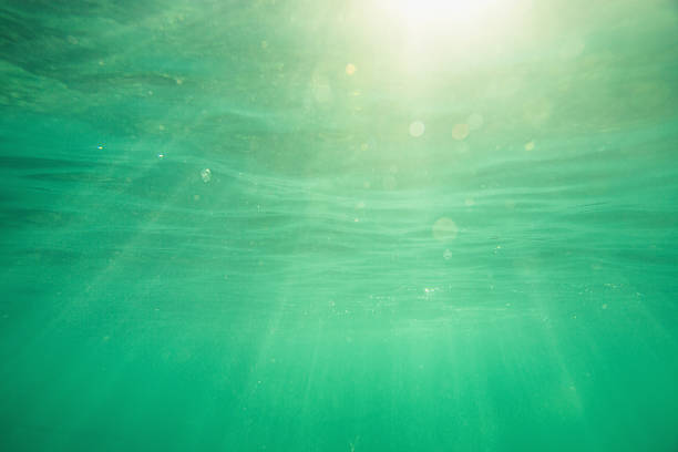 istock Underwater shot with sunrays and fish in deep tropical sea 598078386