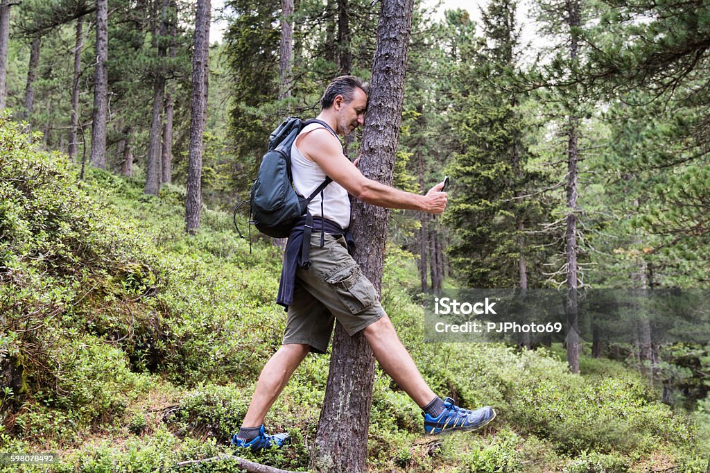 Man beats against tree playing PokemonGo on his smart phone Man beats against a tree playing with Pokemon Go or other game on his smart phone Humor Stock Photo