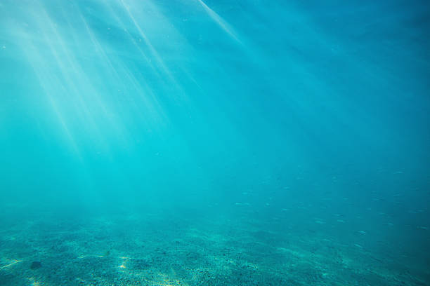 istock Underwater shot with sunrays and fish in deep tropical sea 598078502