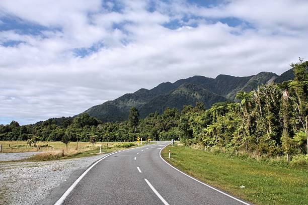 istock West Coast, New Zealand 598078720