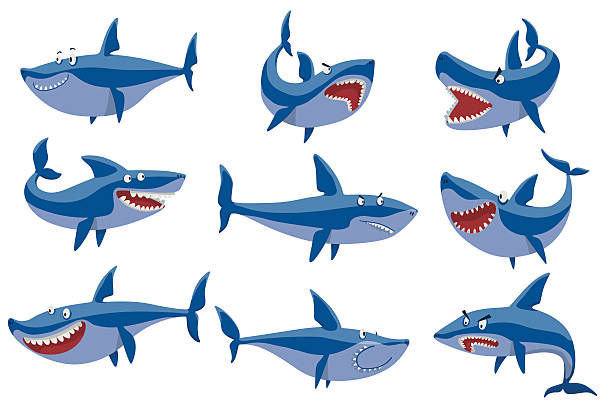 illustrations, cliparts, dessins animés et icônes de jeu de caractères de requin vectoriel. - human teeth vector illustration and painting cartoon