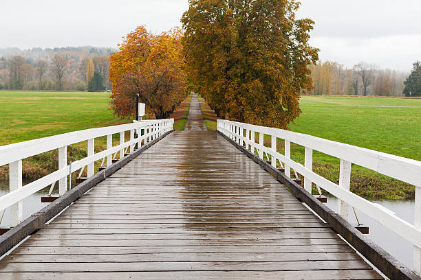 gravel road crosses small bridge then enters long path below trees with fall colored foliage near Monroe, Washington