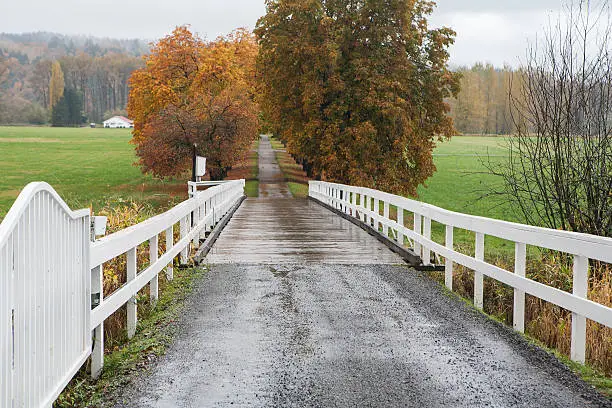 gravel road crosses small bridge then enters long path below trees with fall colored foliage near Monroe, Washington