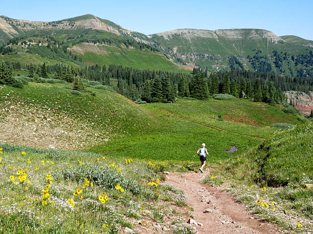 istock Woman running on the high elevation CO trail 598084228