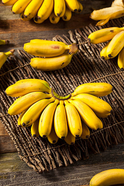 istock Raw Organic Yellow Baby Bananas 598085130