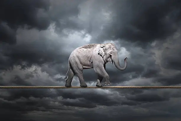 Elephant on tightrope stormy sky.