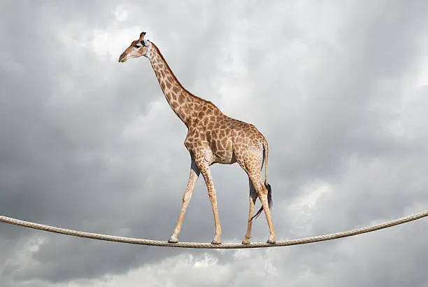 Giraffe balancing on a tightrope with clouds.