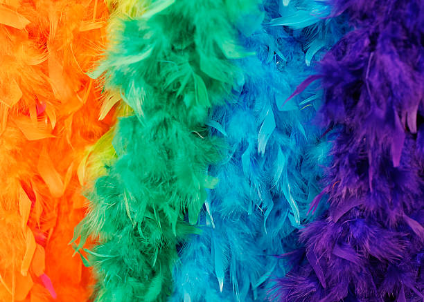 Colorful feathered boas Multicolored feather boas for fancy dress costume boa stock pictures, royalty-free photos & images