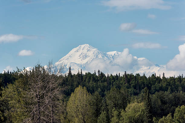 istock Snow covered Mt McKinley, Mt Denali 598088854