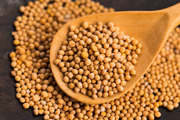 istock Spicy mustard seeds in a wooden background 598093234