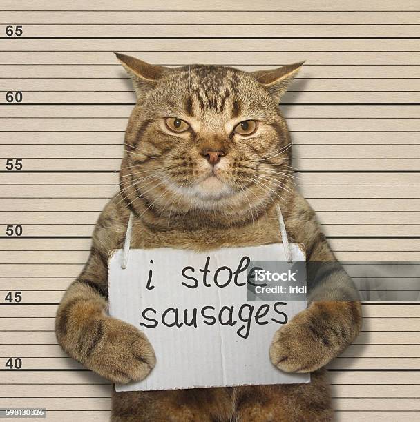 Catstole Sausages Stock Photo - Download Image Now - Arrest, Criminal, Detainee