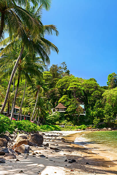 istock Sandy beach with palm trees near the hotel 598132154