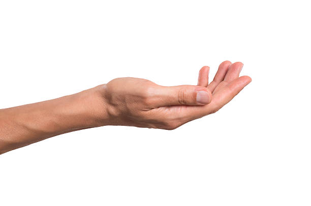 Male hand holding Stretched hand of man isolated over white background. Open palm hand gesture of man hand. Close up of open palm isolated over white background. white hands stock pictures, royalty-free photos & images