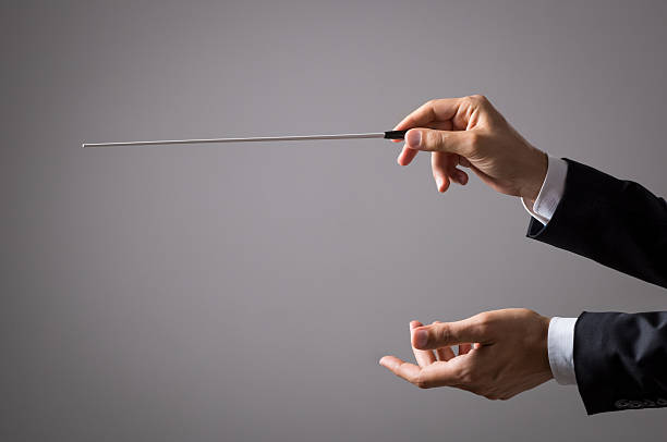 Orchestra conductor hands Musician director holding stick isolated on grey background. Close up of orchestra conductor hands holding baton. Music conducting director holding stick. conductors baton photos stock pictures, royalty-free photos & images