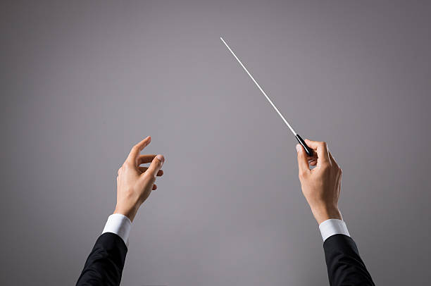 Musician directing concert Concert conductor hand with baton isolated on grey background. Chorus composer holding baton during a opera. Musician directing concert. Close up hands of orchestra conductor with copy space. musical conductor photos stock pictures, royalty-free photos & images