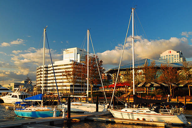 istock Norfolk Virginia as Seen from the Marina at Waterside 598138676