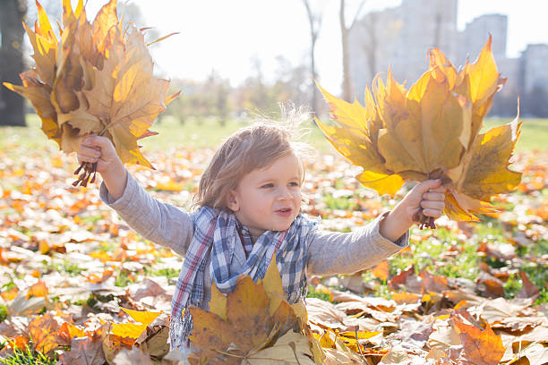 istock Happy boy having fun with autumn leaves. 598138766