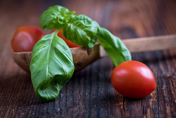 Basil Leaves with Tomatoes stock photo