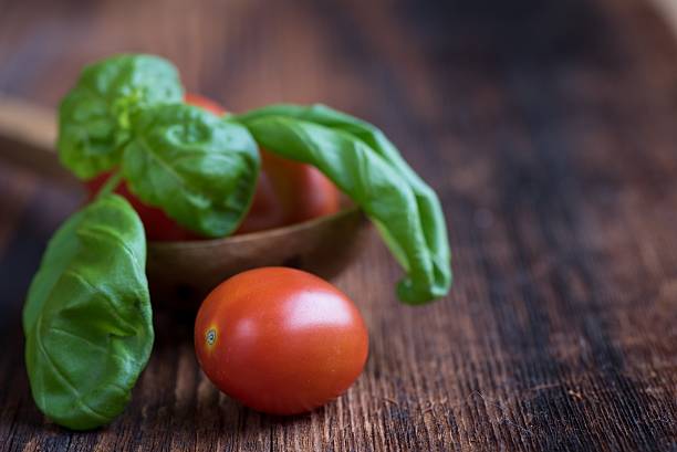 Basil Leaves with Tomatoes stock photo