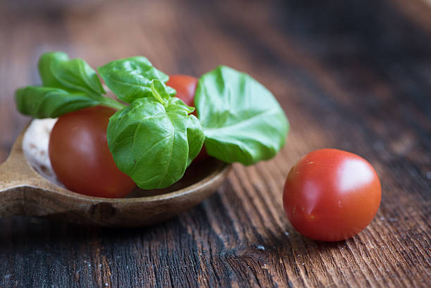 Basil Leaves with Tomatoes stock photo