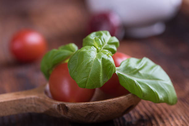 Basil Leaves with Tomatoes stock photo