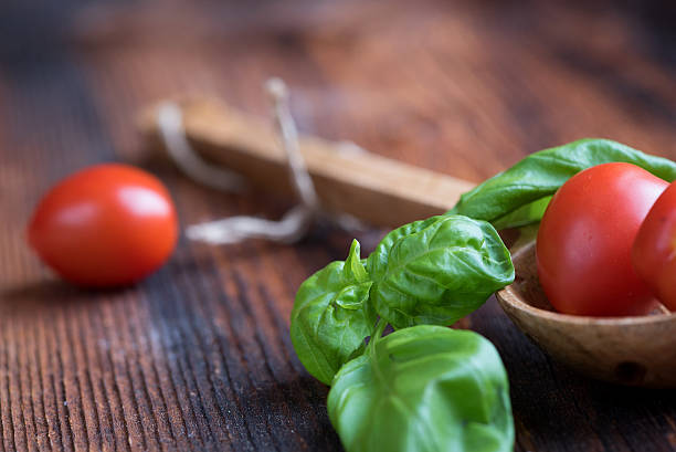 Basil Leaves with Tomatoes stock photo