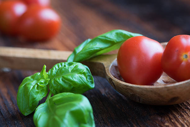 Basil Leaves with Tomatoes stock photo