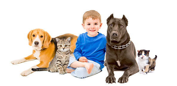 Group of pets and happy child sitting together isolated on white background